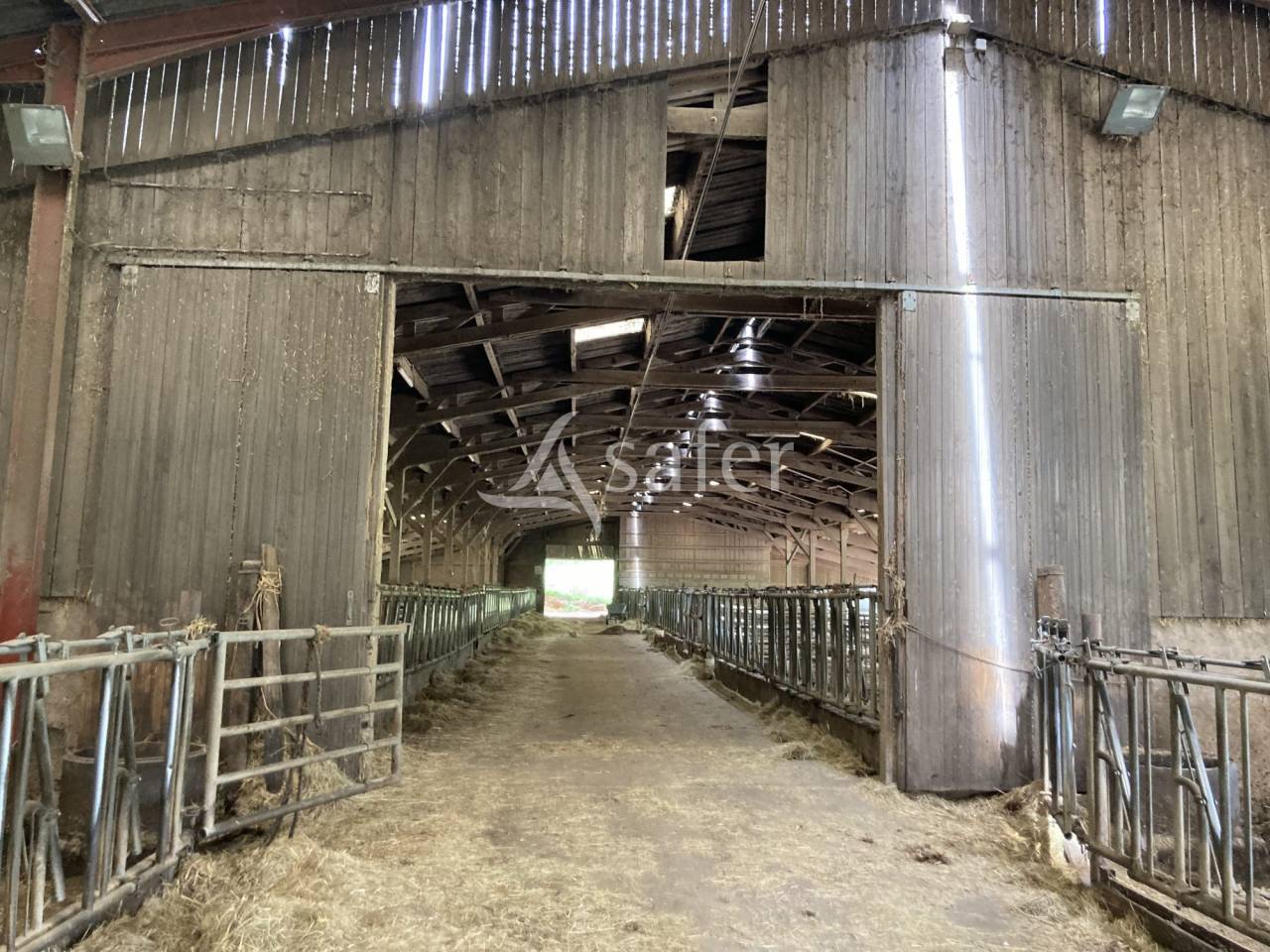 Azienda ovina In vendita Saône-et-Loire