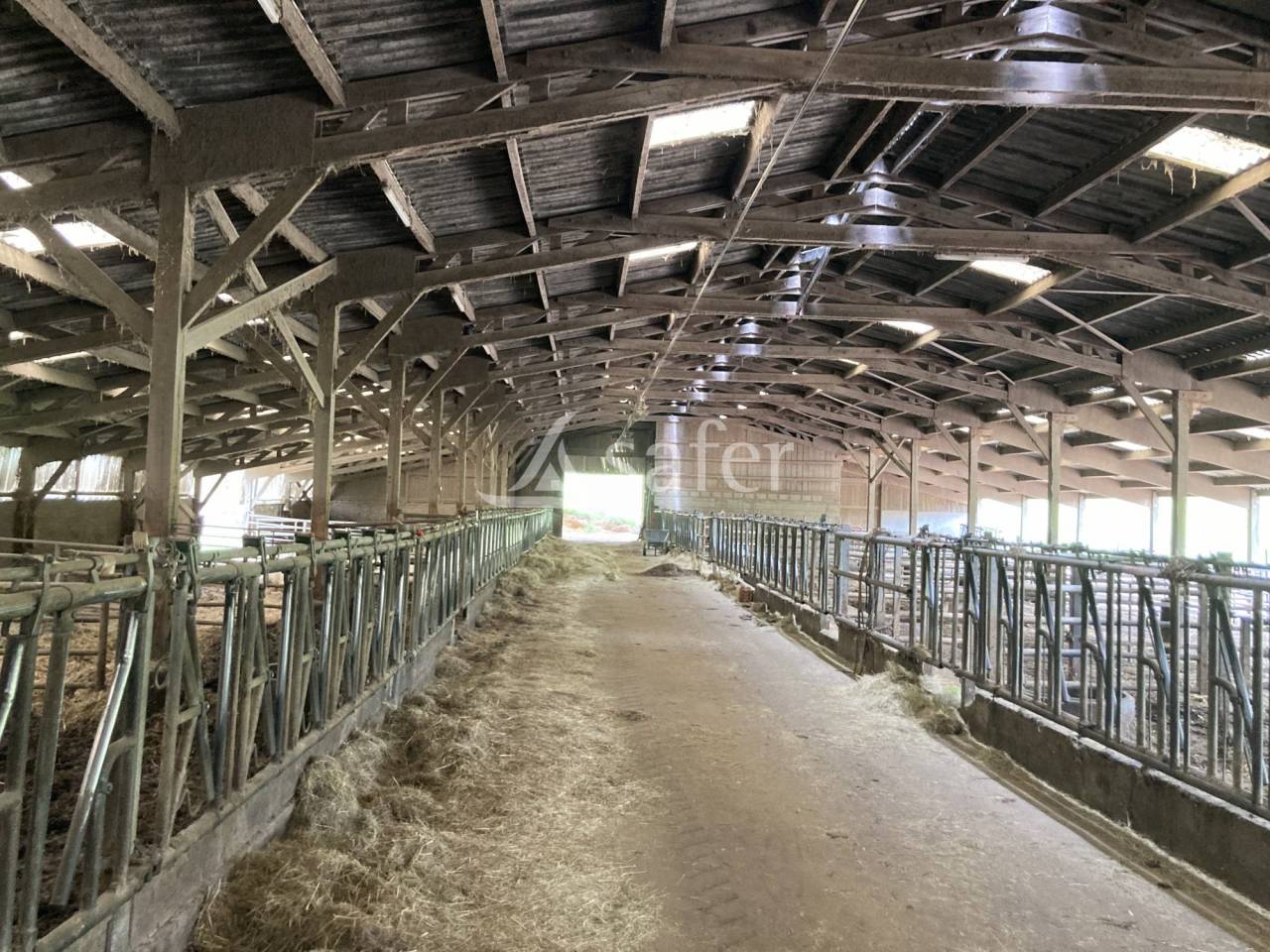 Azienda ovina In vendita Saône-et-Loire