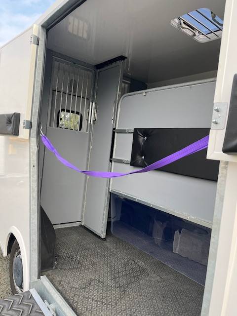 Van per Cavalli AP Petit Master 2021 2021 Occasione