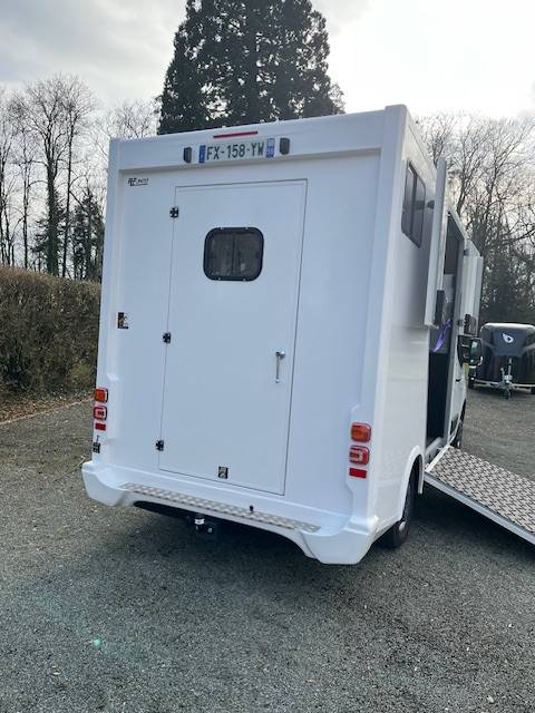 Van per Cavalli AP Petit Master 2021 2021 Occasione