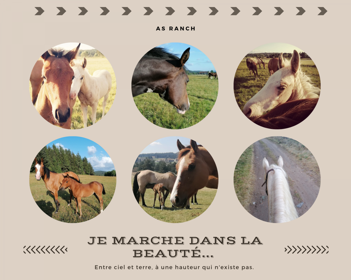 Stage di crescita personale Vienne