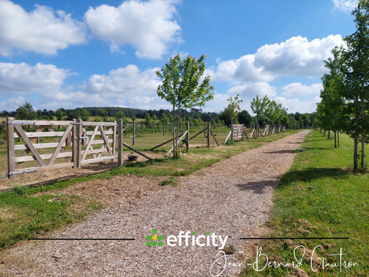 Proprietà equestre In vendita Ile-et-Vilaine