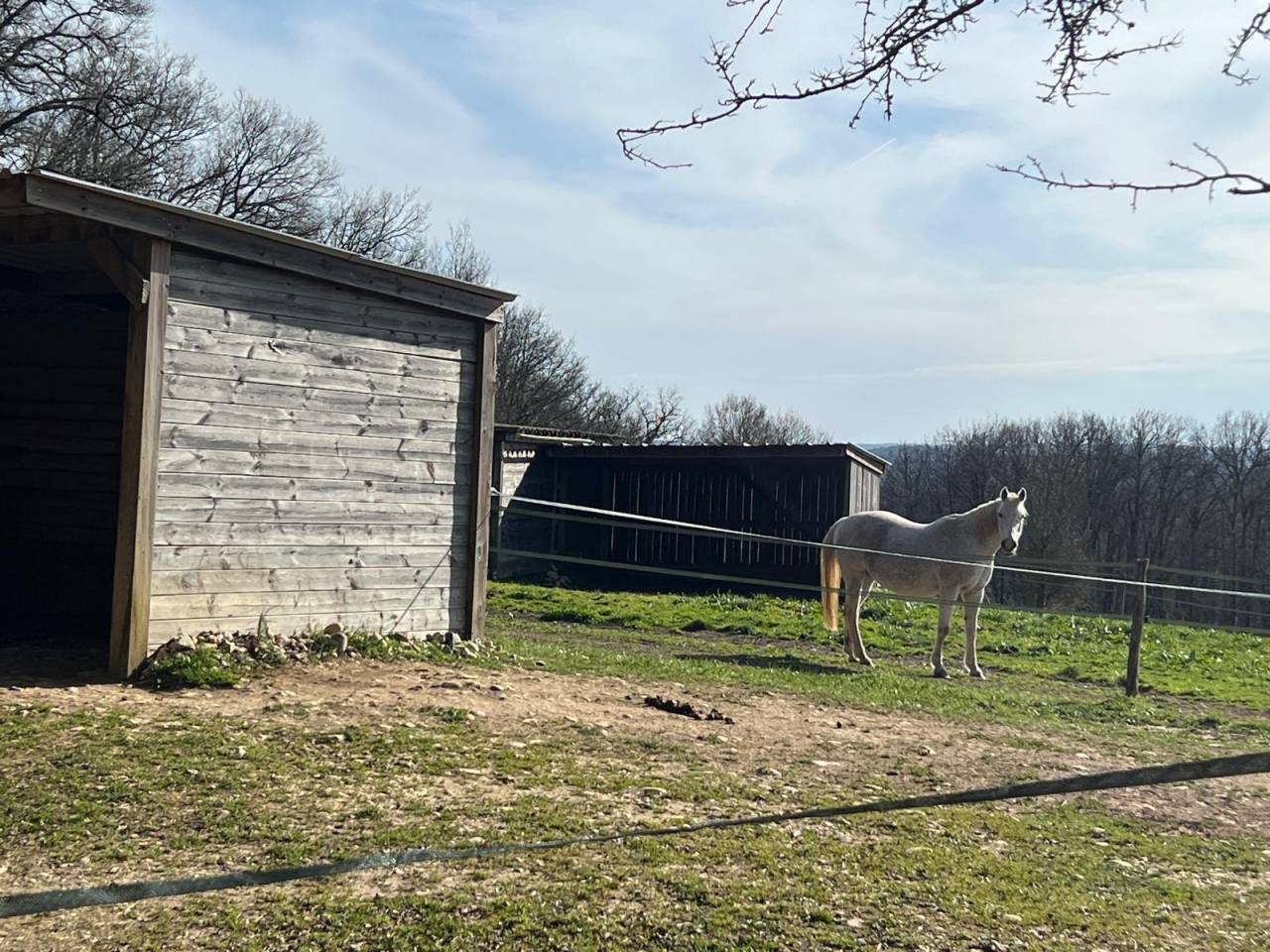 Bella dimora equestre In vendita Lot