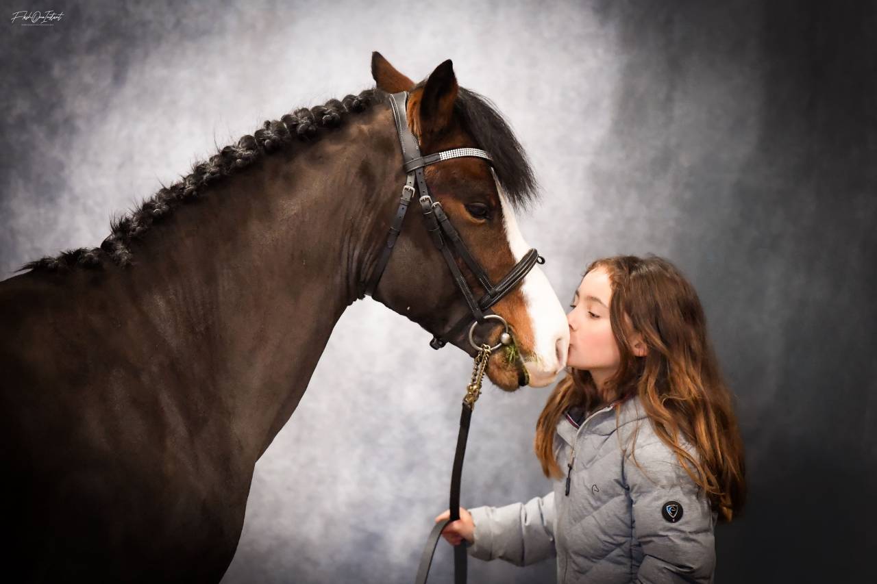 Koetsiershoeve Billy of Glory - New Forest 2019 ,  Comm's Forest Dille