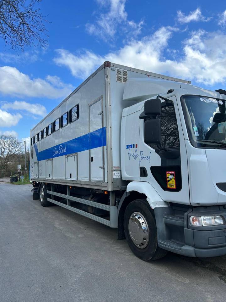 Camion per Cavalli Renault midle 2011 Occasione