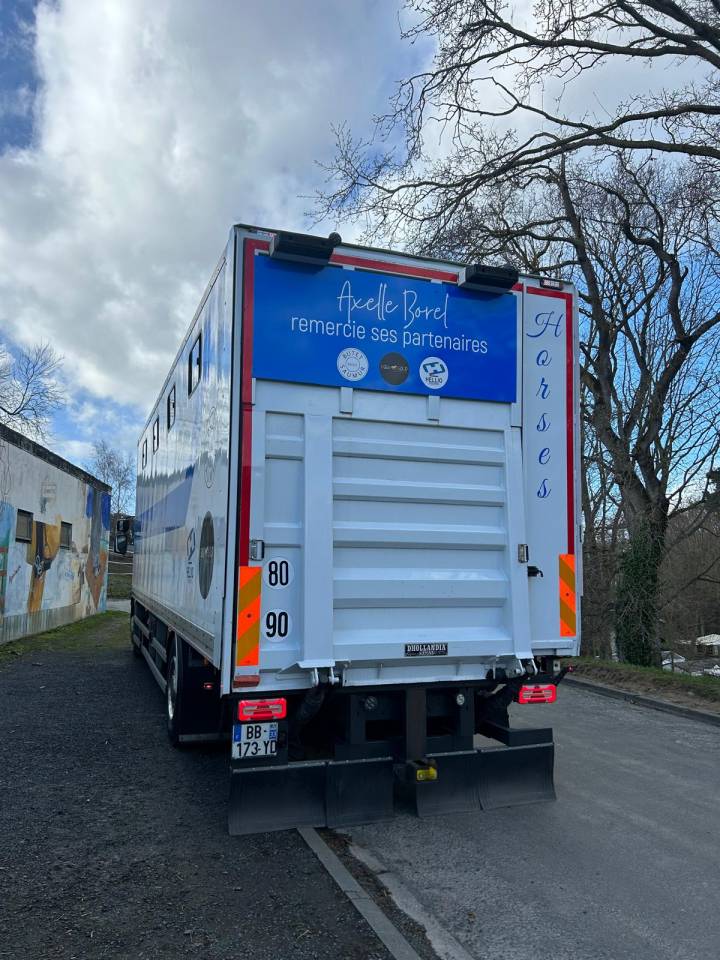 Camion per Cavalli Renault midle 2011 Occasione