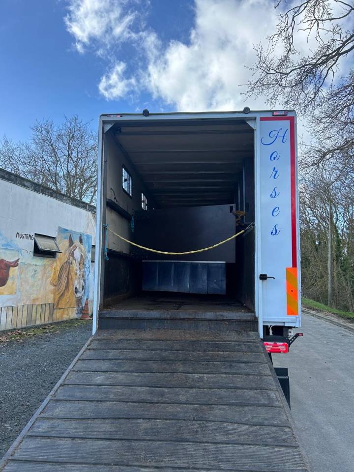 Camion per Cavalli Renault midle 2011 Occasione