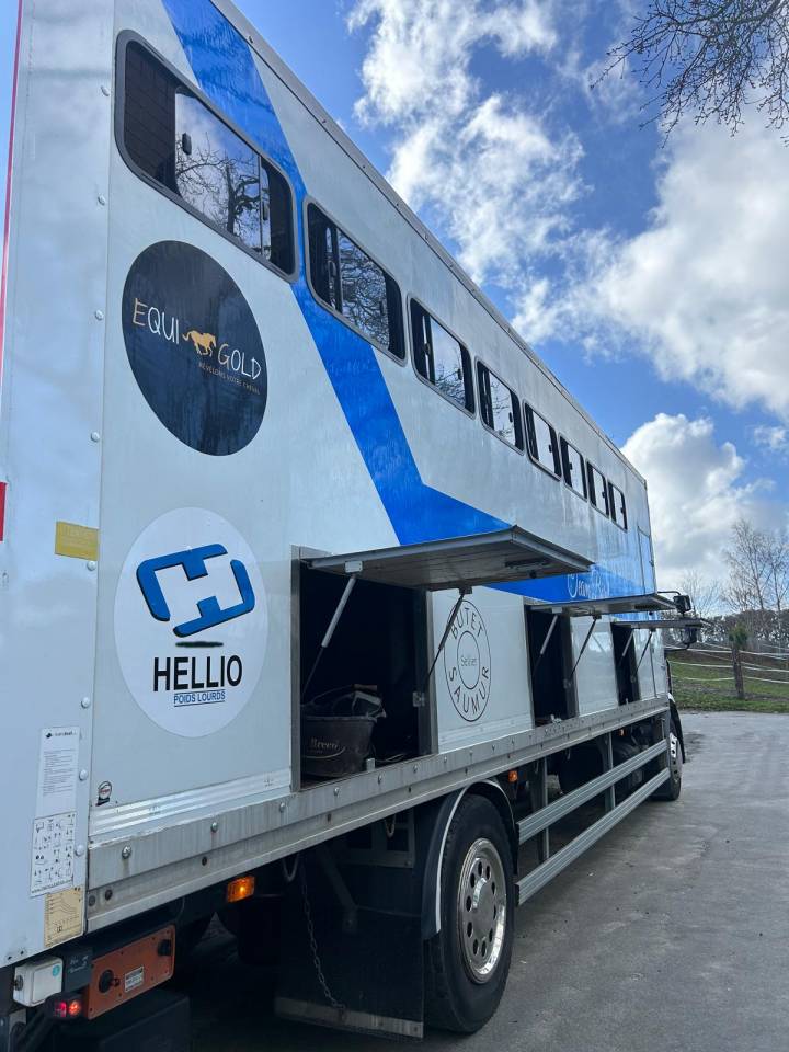 Camion per Cavalli Renault midle 2011 Occasione