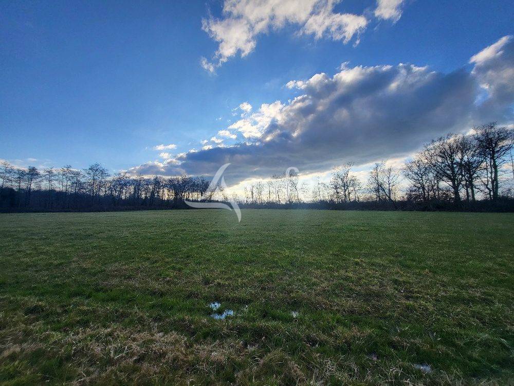 Proprietà equestre In vendita Ain