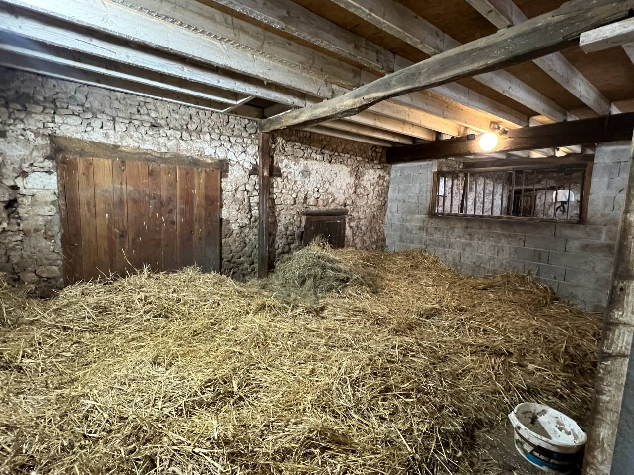 Centro di stagione cavallo In vendita Allier