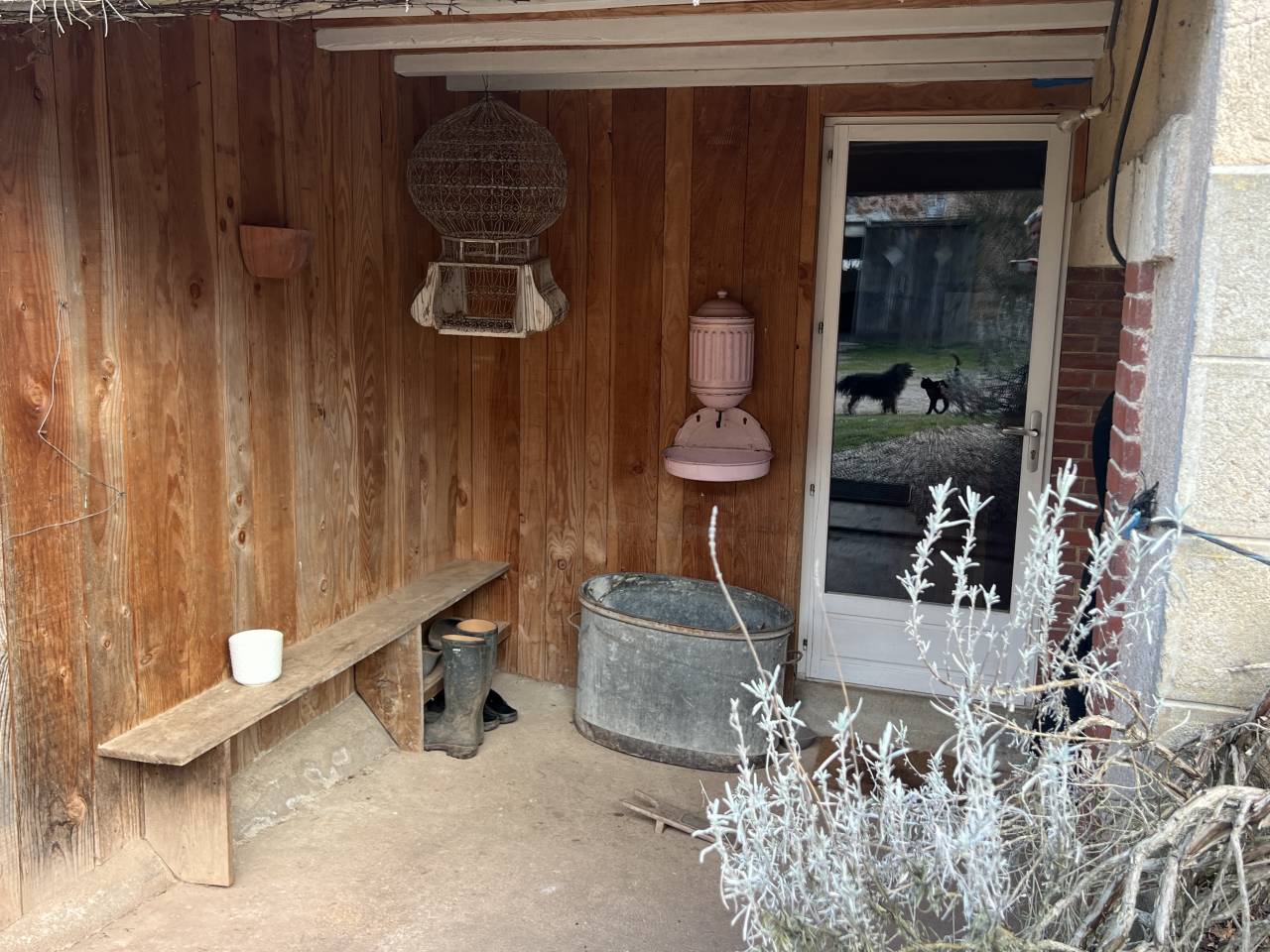 Centro di stagione cavallo In vendita Allier