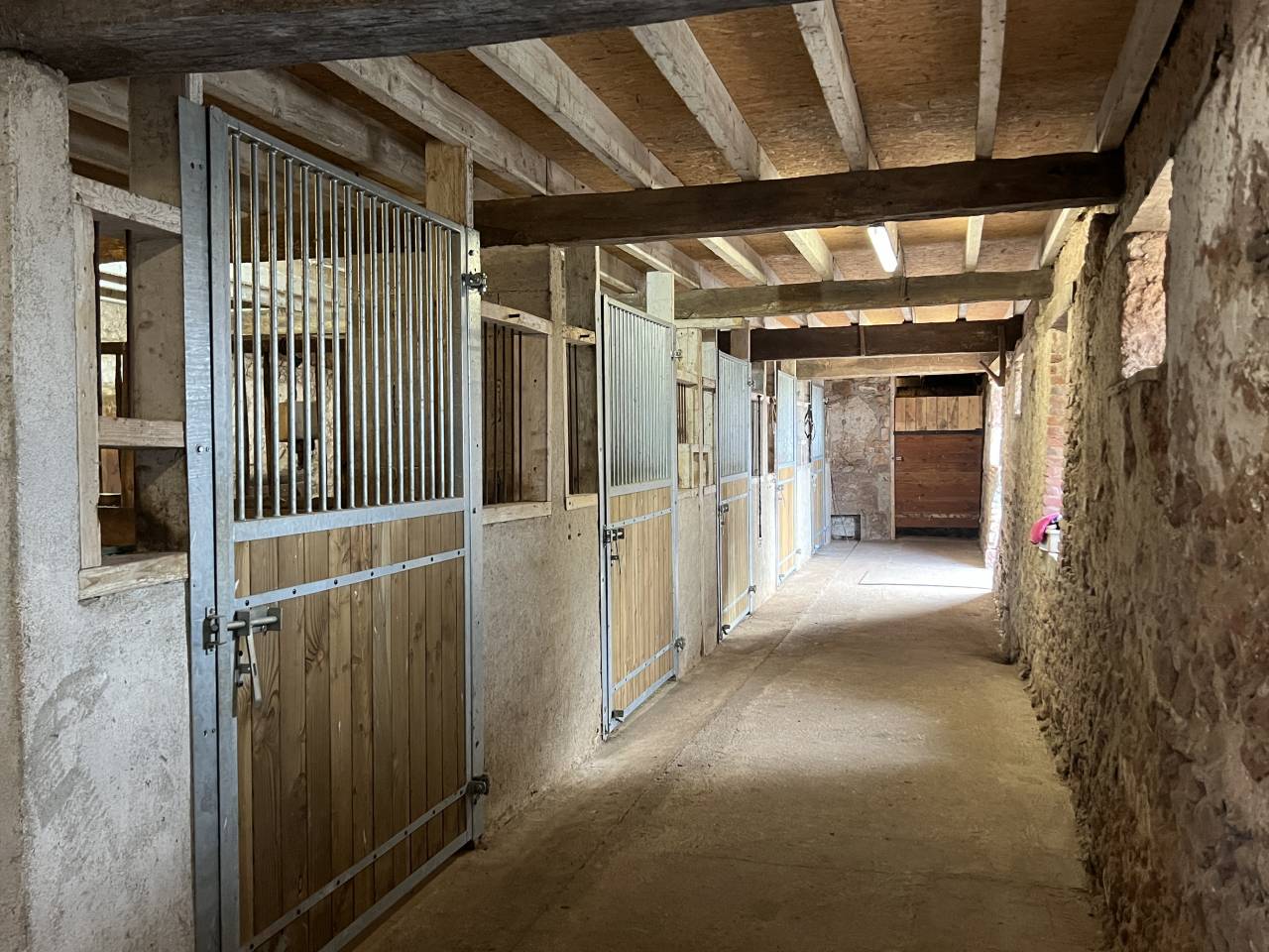 Centro di stagione cavallo In vendita Allier