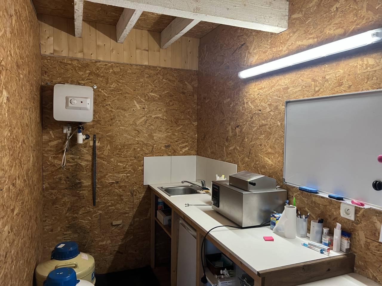 Centro di stagione cavallo In vendita Allier