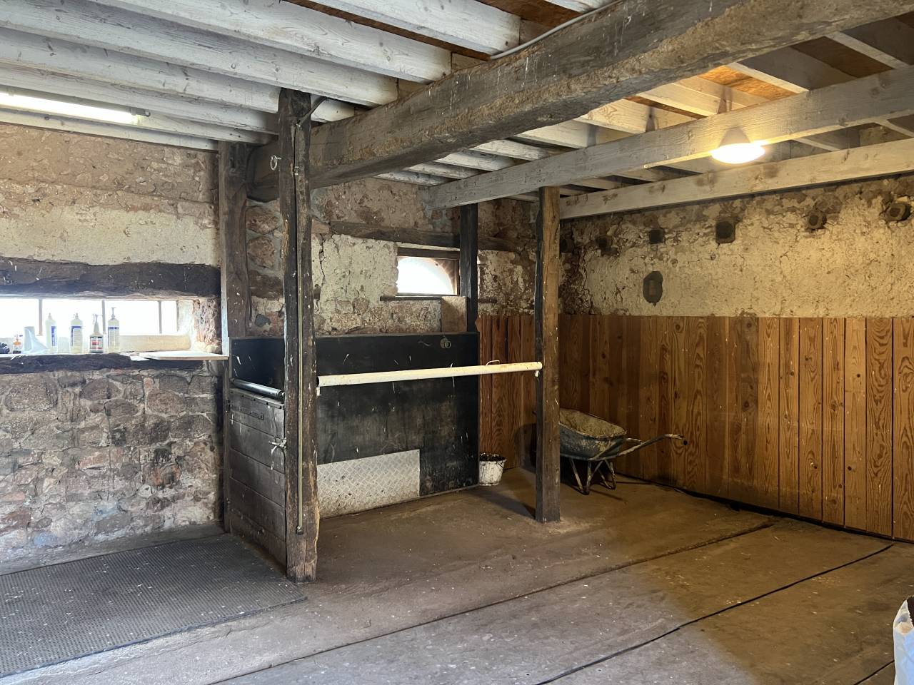 Centro di stagione cavallo In vendita Allier