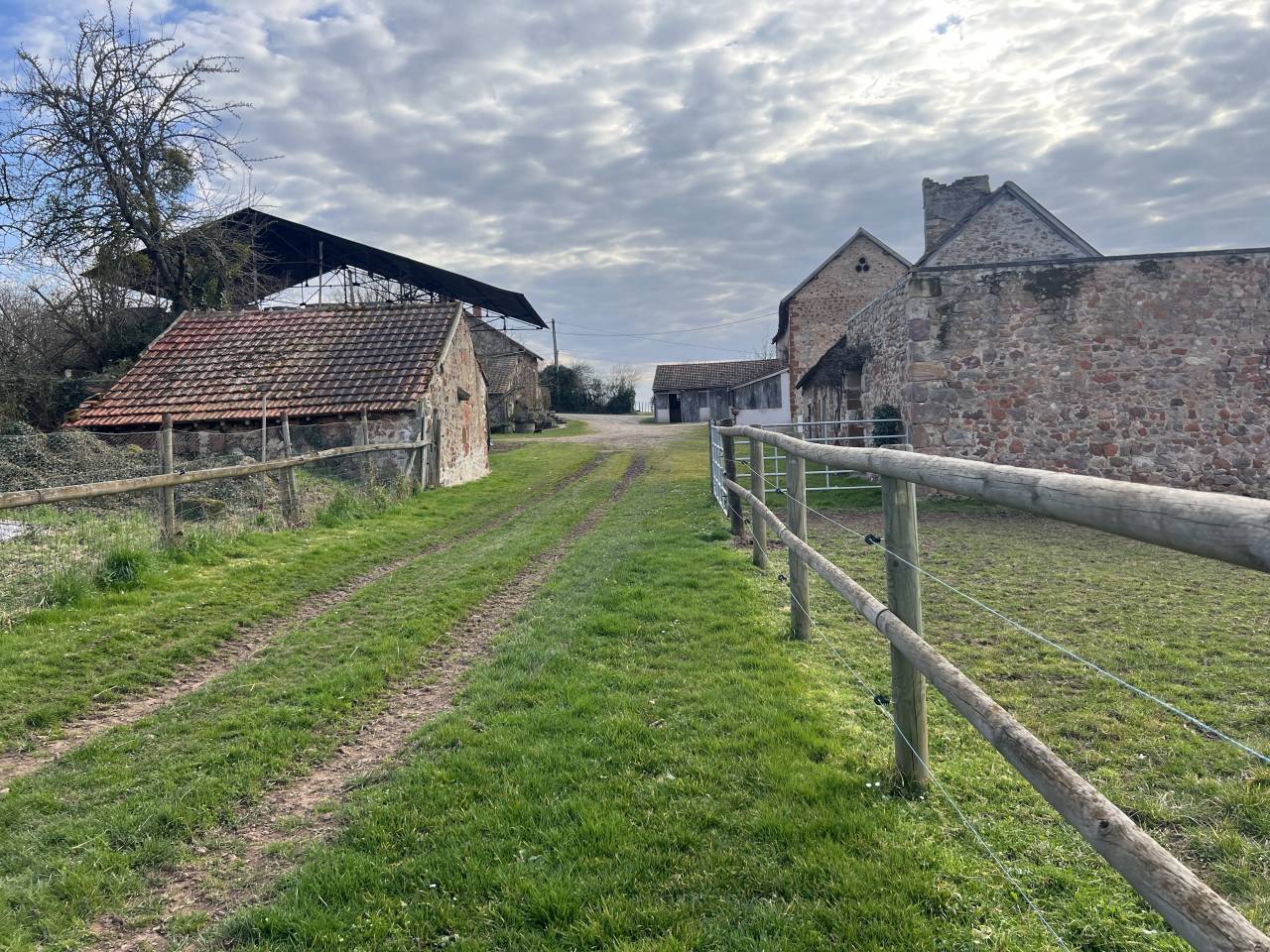 Centro di stagione cavallo In vendita Allier