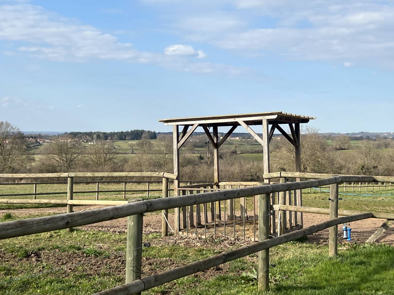 Centro di stagione cavallo In vendita Allier
