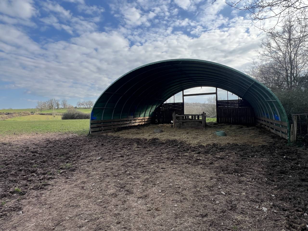 Centro di stagione cavallo In vendita Allier
