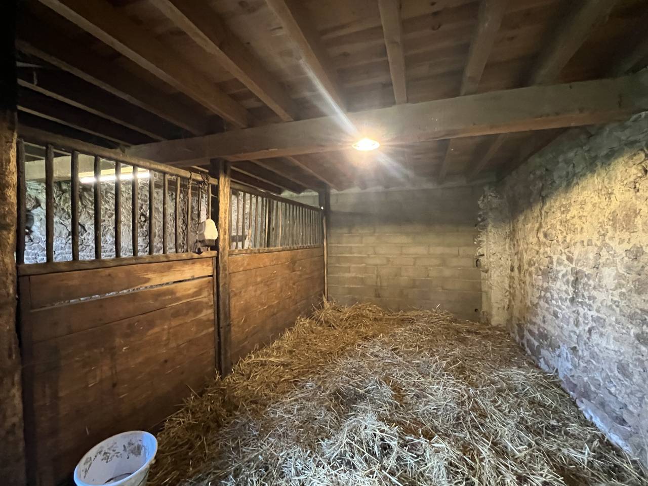 Centro di stagione cavallo In vendita Allier