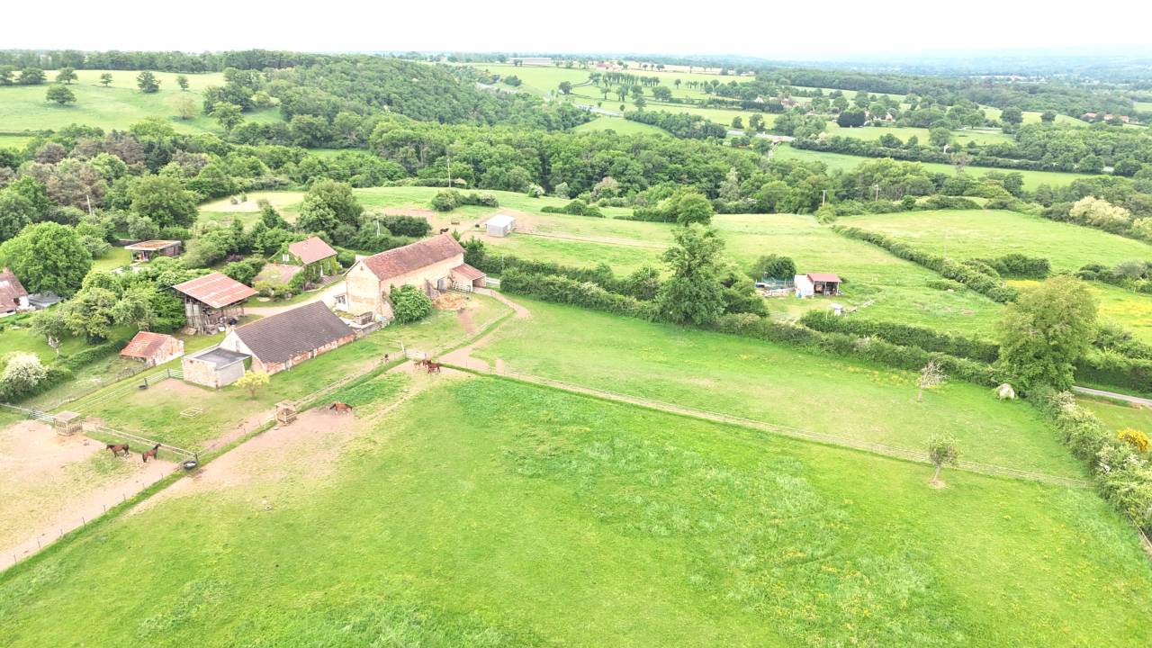 Centro di stagione cavallo In vendita Allier