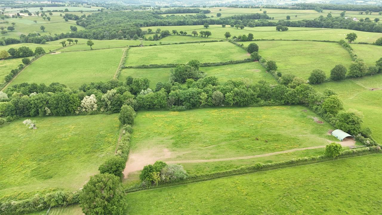 Centro di stagione cavallo In vendita Allier