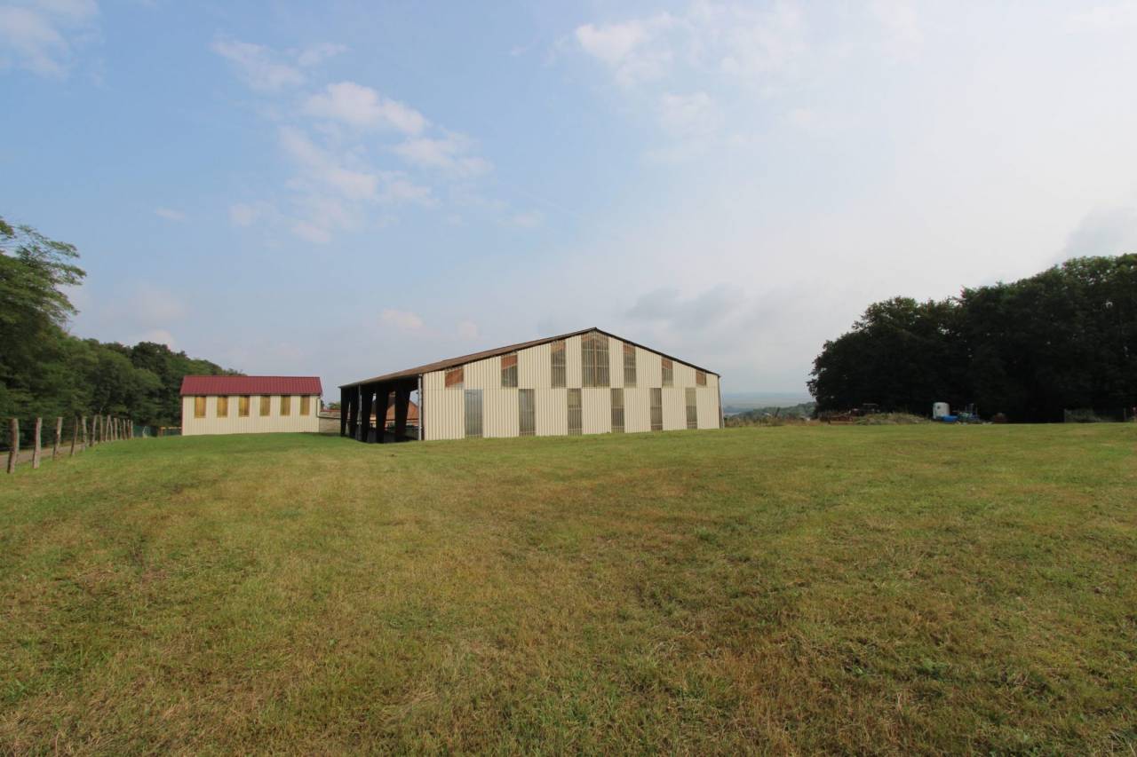 Scuderia per proprietari In vendita Yonne