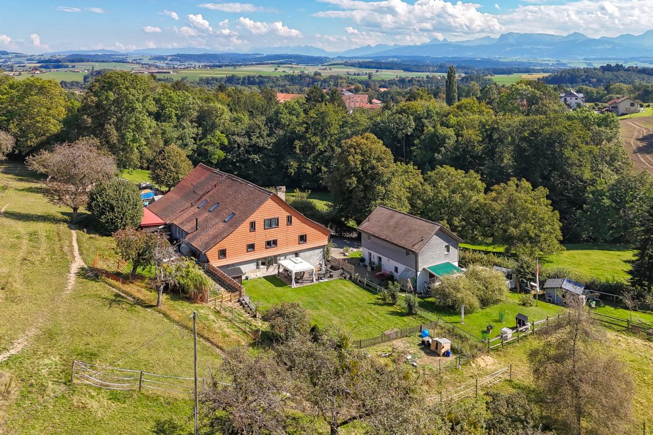 Azienda equestre In vendita Vaud