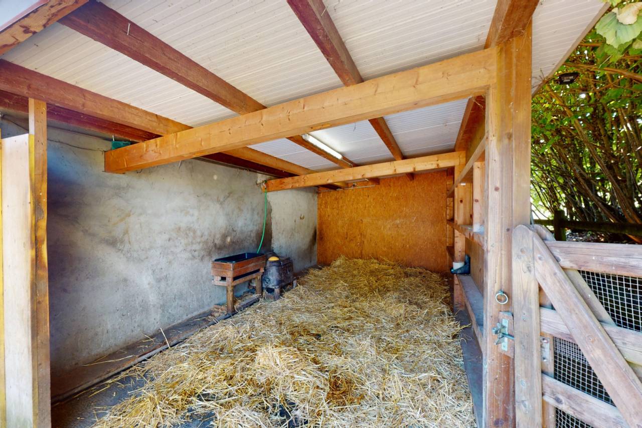 Azienda equestre In vendita Vaud