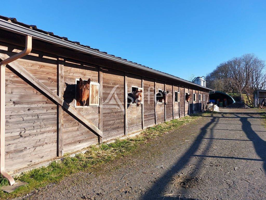 Azienda agricola In vendita Corrèze