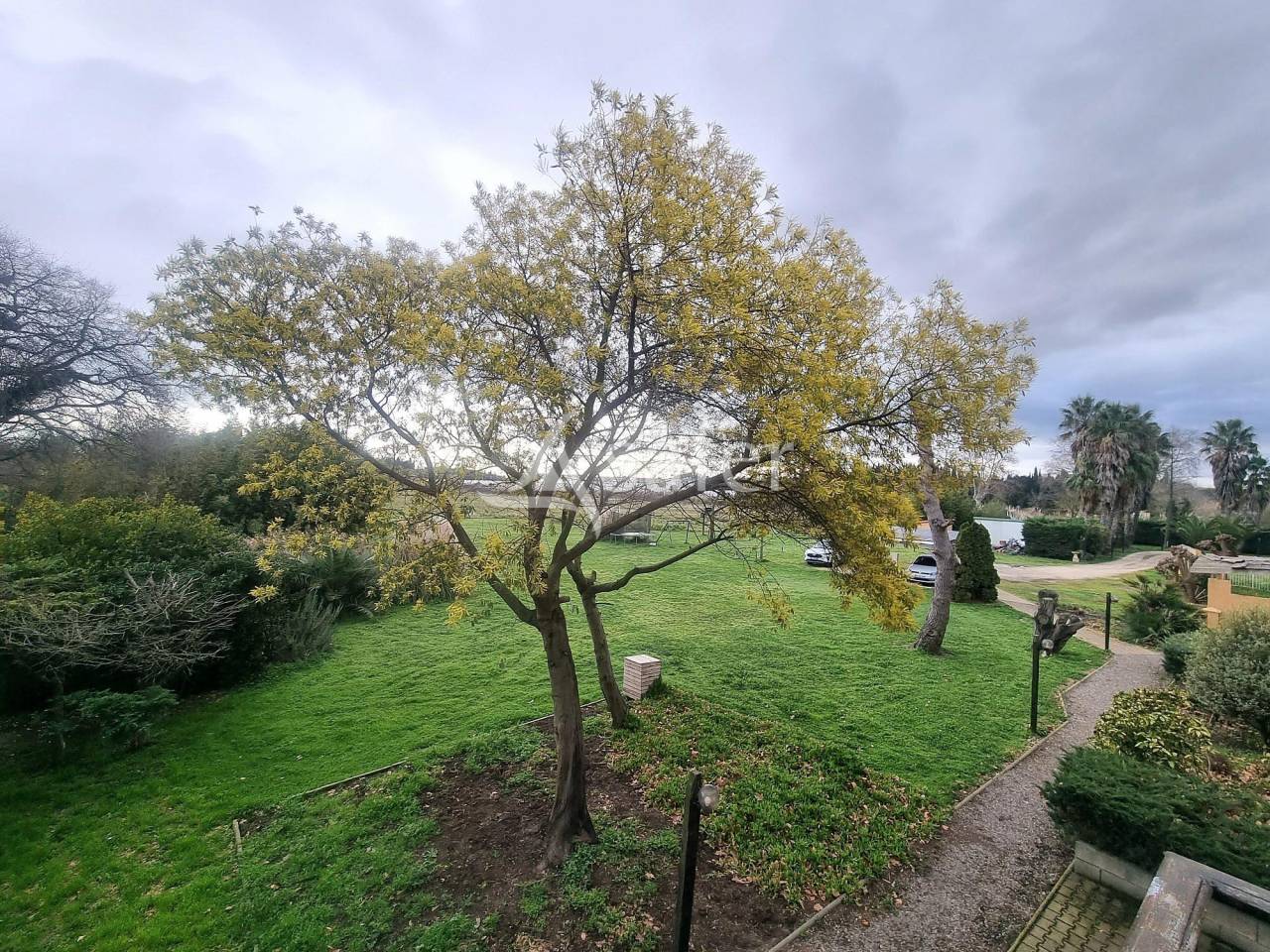 Proprietà rurale In vendita Pyrénées-Orientales