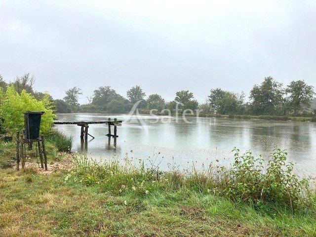 Proprietà rurale In vendita Loiret