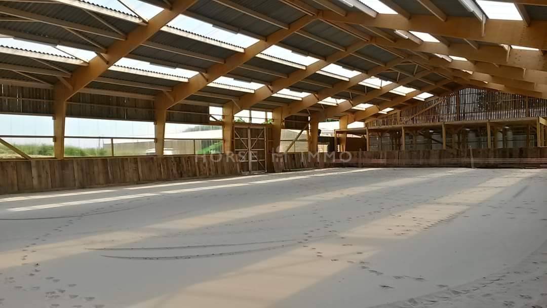 Centro di stagione cavallo In vendita Morbihan
