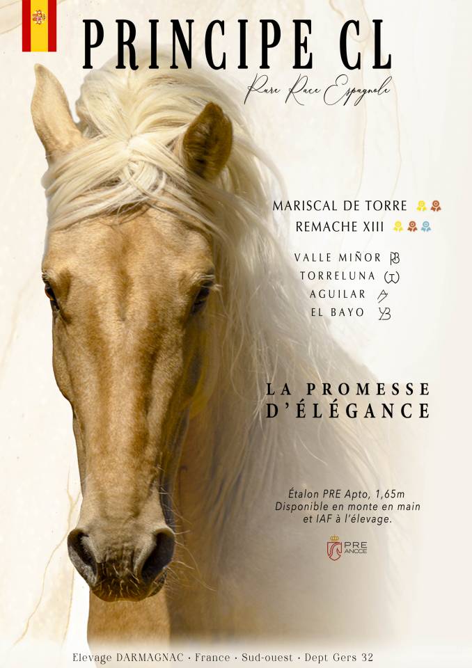 Principe CL - PRE Andaluso 2018 ,  Principal AG