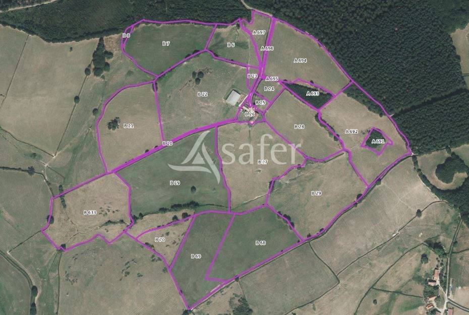 Azienda agricola In vendita Saône-et-Loire