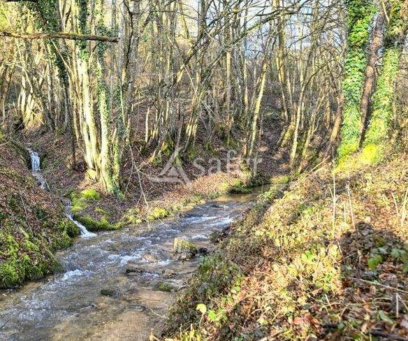 Proprietà rurale In vendita Rhône