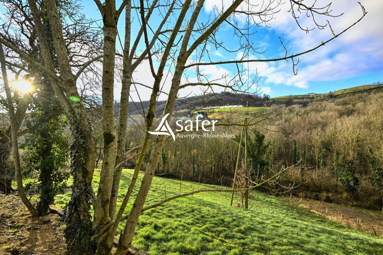 Propriet&agrave; rurale In vendita Rh&ocirc;ne