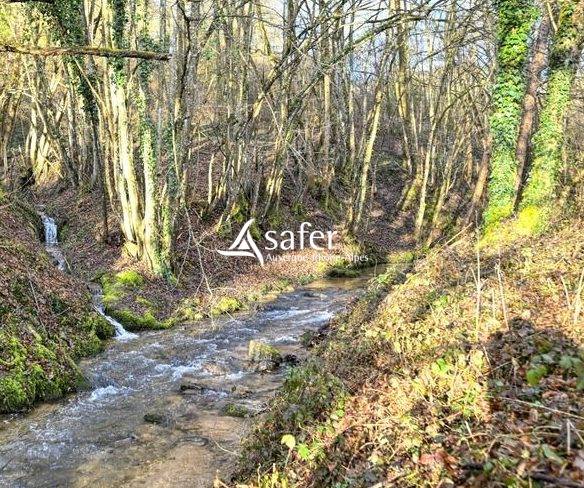 Propriet&agrave; rurale In vendita Rh&ocirc;ne