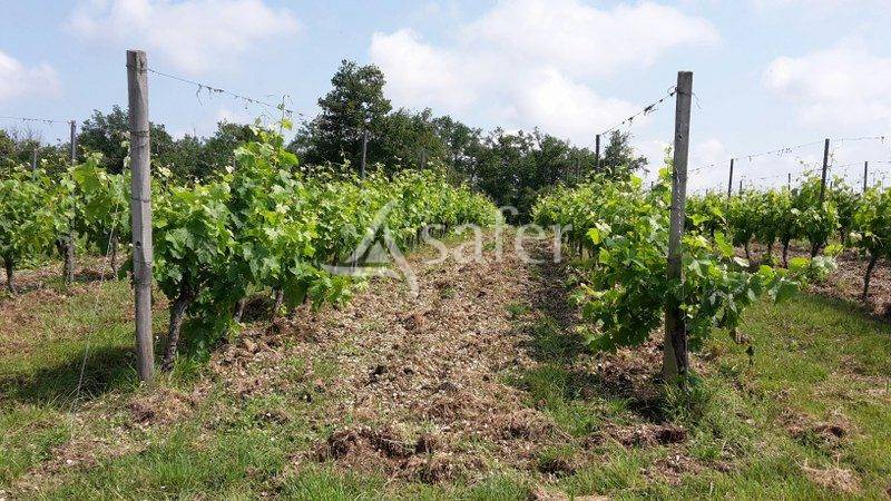 Proprietà rurale In vendita Gironde