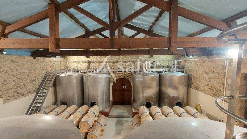 Proprietà rurale In vendita Gironde