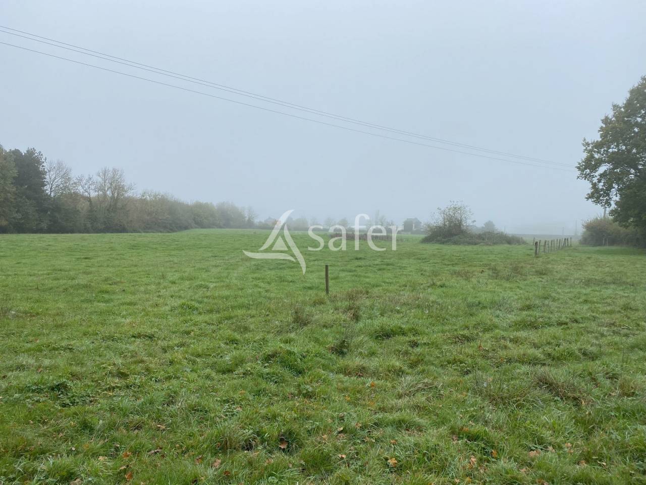 Azienda agricola In vendita Calvados