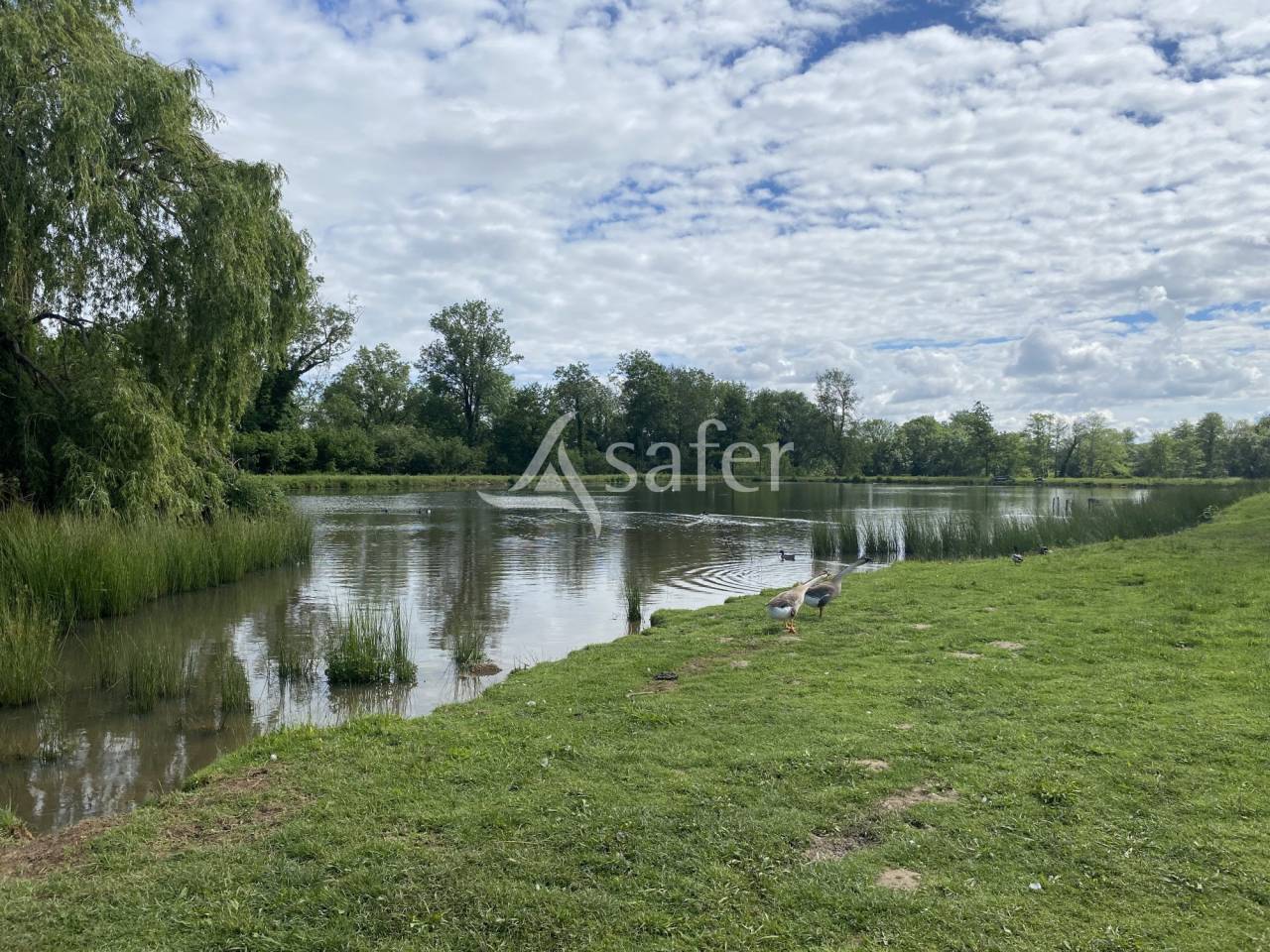 Proprietà equestre In vendita Ain