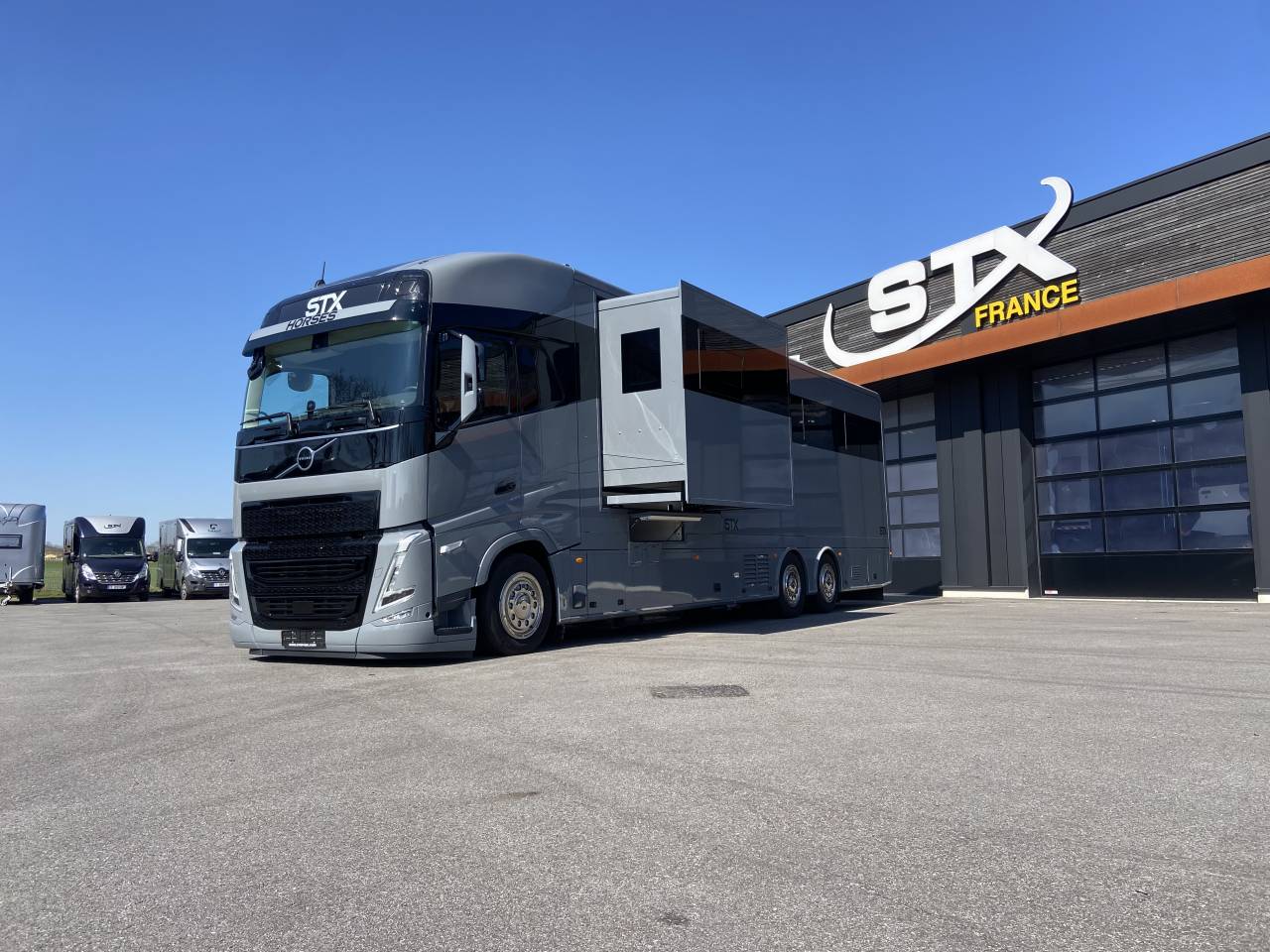 Camion per Cavalli STX  2025 Nuovo