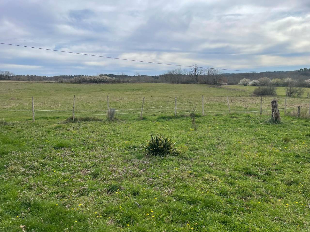 Proprietà equestre In vendita Dordogne