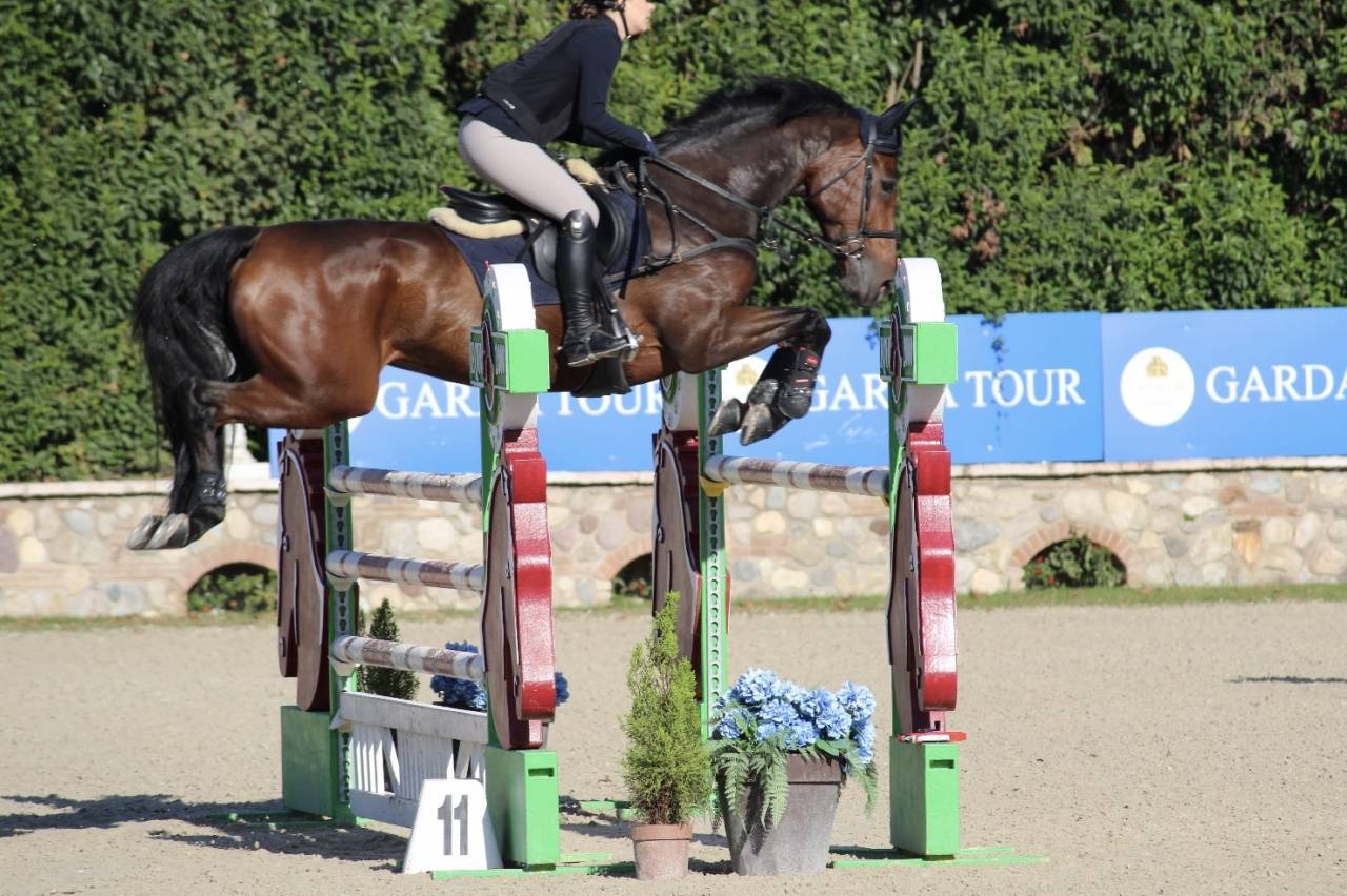 KWPN - CASTRONE - 12 ANNI