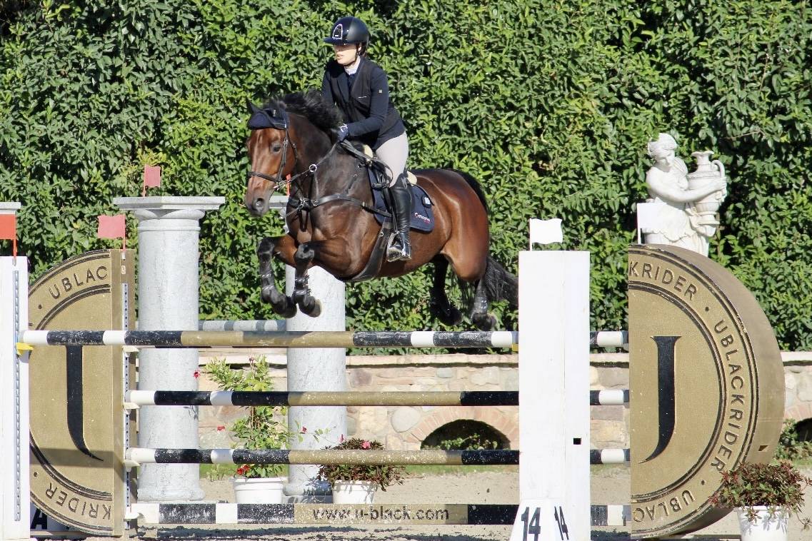 KWPN - CASTRONE - 12 ANNI