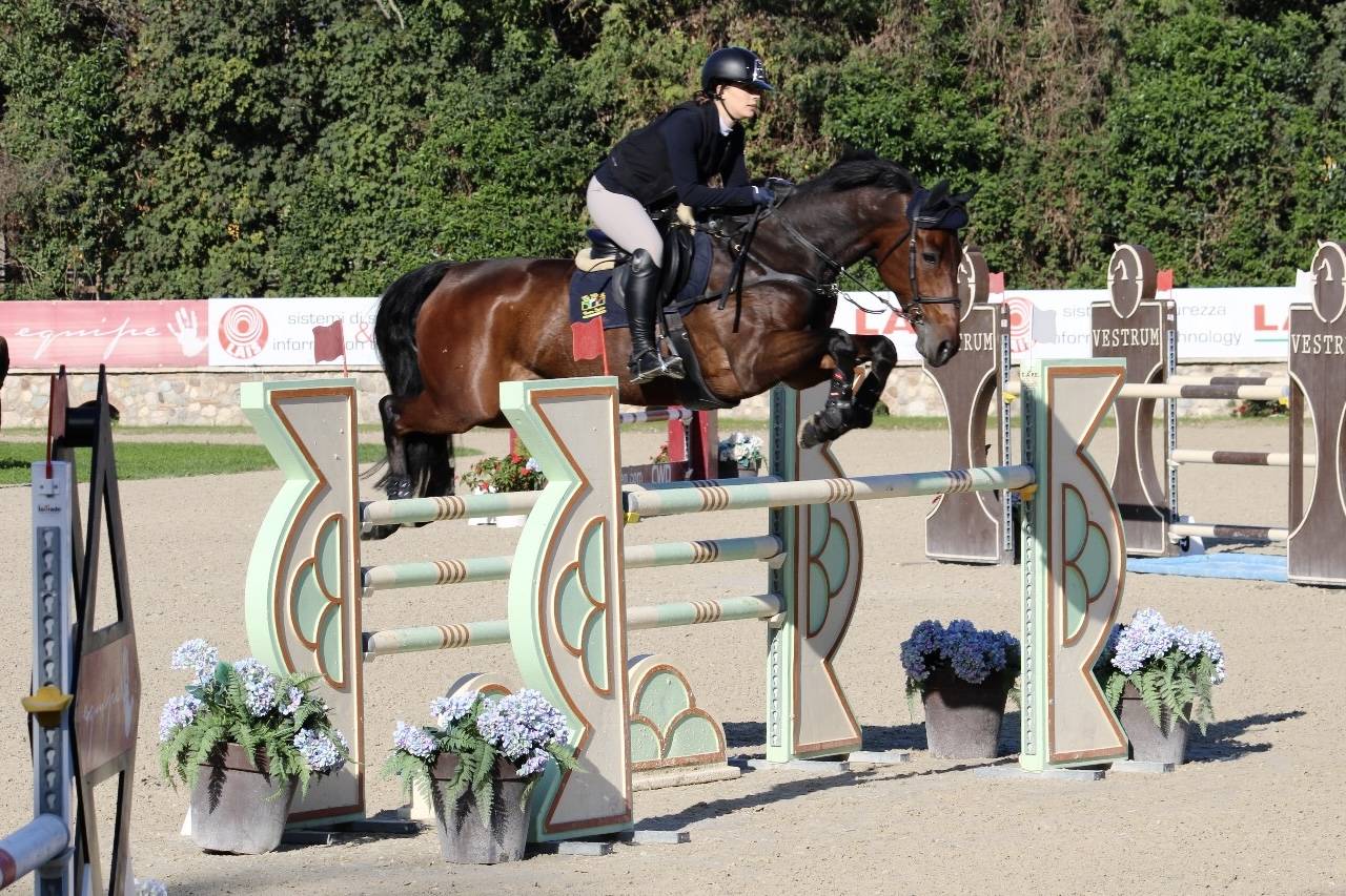 KWPN - CASTRONE - 12 ANNI