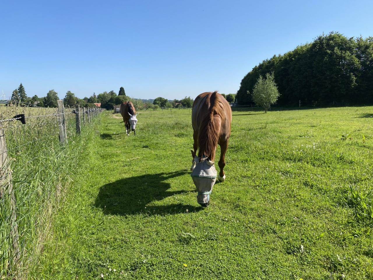 Proprietà equestre In vendita Aisne