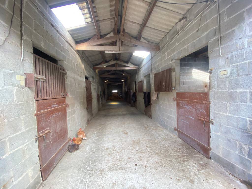 Centro di stagione cavallo In vendita Marne