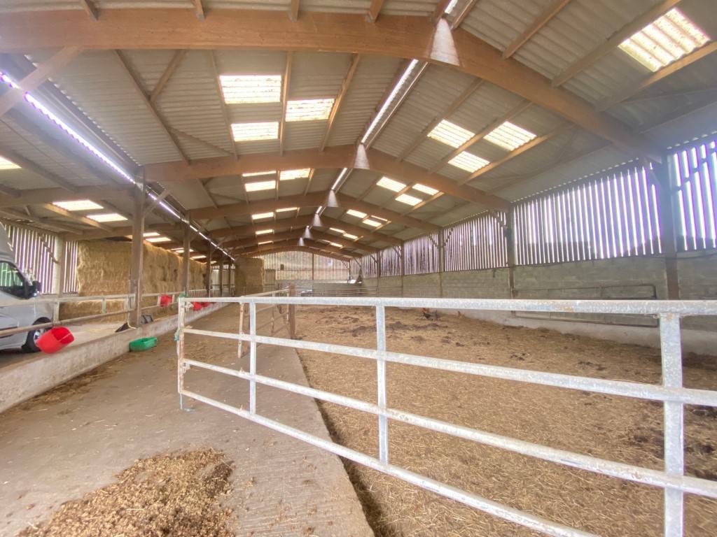 Centro di stagione cavallo In vendita Marne