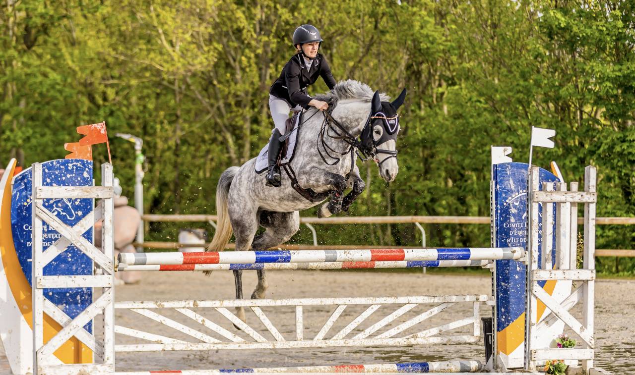 Cavalla PFS Pony Francese da Sella In vendita 2016 Grigio