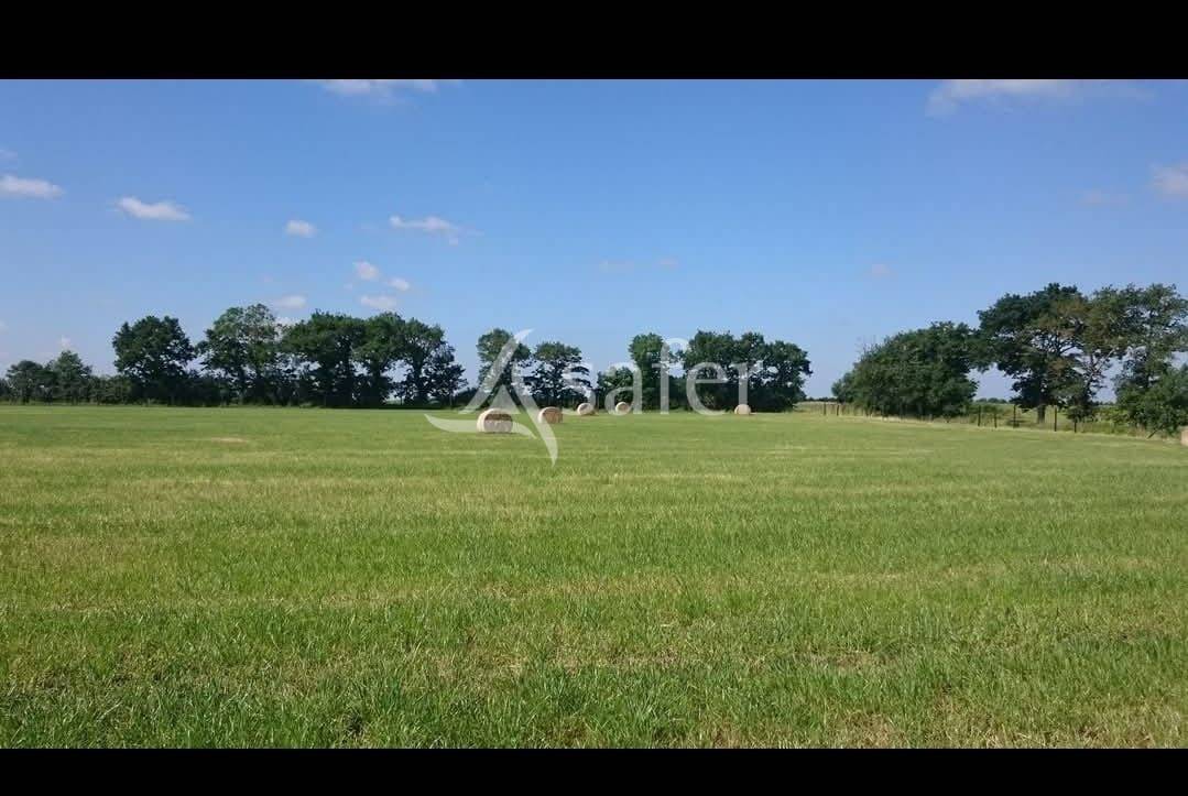 Azienda agricola In vendita Vendée